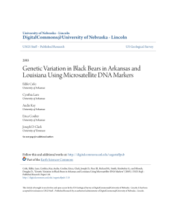 Genetic Variation in Black Bears in Arkansas and Louisiana Using