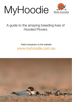 MyHoodie - Cradle Coast NRM
