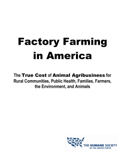 Factory Farming in America: The True Cost of Animal Agribusiness