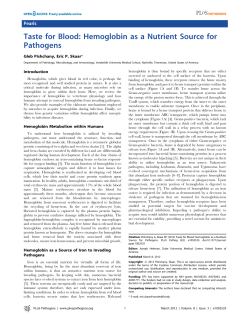Taste for Blood: Hemoglobin as a Nutrient Source for Pathogens