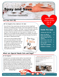 Inside this issue What are Special Needs Cats and Dogs?
