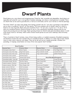 Dwarf Plants