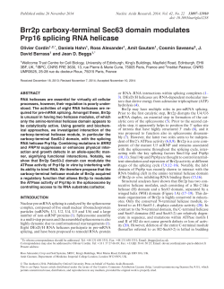 Brr2p carboxy-terminal Sec63 domain modulates