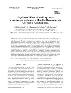 Haplosporidium littoralis sp. nov.: a crustacean pathogen within the