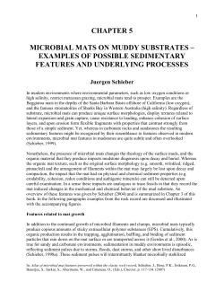 CHAPTER 5 MICROBIAL MATS ON MUDDY SUBSTRATES