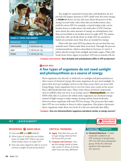 A few types of organisms do not need sunlight and