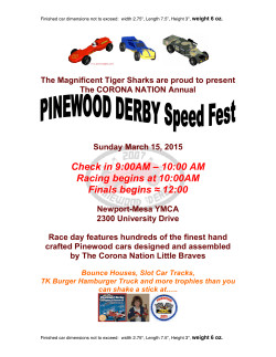 Pinewood derby flyer 2015