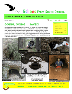 EchoesFrom SOUTH DAKOTA - South Dakota Bat Working Group