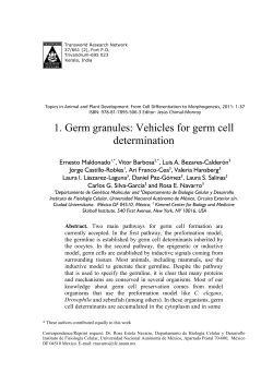 1. Germ granules: Vehicles for germ cell determination