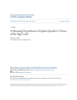 A Meaning Hypothesis to Explain Speaker`s Choice of the Sign Look