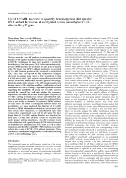 DNA adduct formation at methylated versus