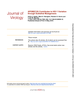 through Sublethal Mutagenesis APOBEC3G Contributes to HIV
