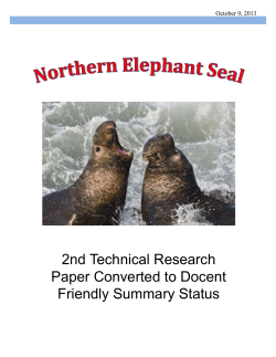 Falling Leaf Research Paper - Friends of the Elephant Seal