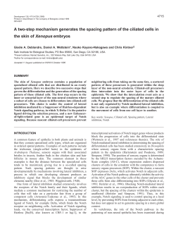 Formation of the ciliated cells spacing pattern