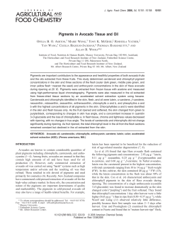 Pigments in Avocado Tissue and Oil