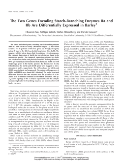 The Two Genes Encoding Starch-Branching