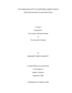 Margaret Thesis - The Atrium