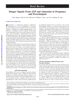 Brief Review - Hypertension