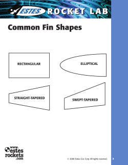Fins and Nose Cones