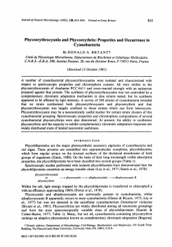 Phycoerythrocyanin and Phycoerythrin: Properties