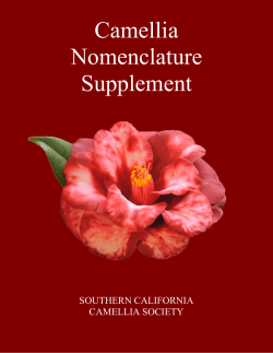 Camellia Nomenclature Supplement - 1996