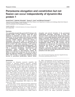 Peroxisome elongation and constriction but not fission can occur