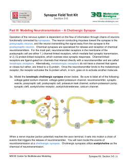 Student Handout - MSOE Center for BioMolecular Modeling