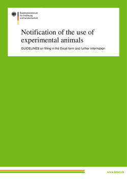 Leitfaden Versuchstiermeldung_englisch_gepr&uuml;ft