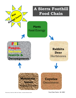 Food Chain - Sierra Foothill Research and Extension Center
