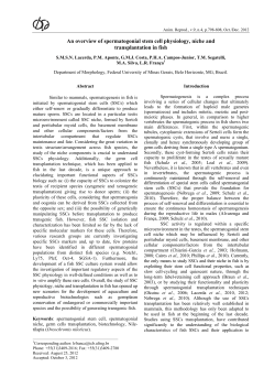 An Overview of Spermatogonial Stem Cells Physiology, Niche and