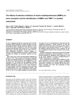The effects of selective inhibitors of matrix
