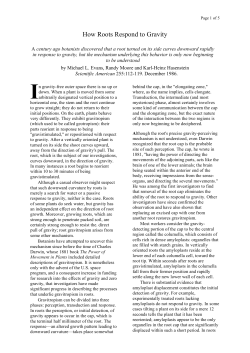 How Roots Respond to Gravity