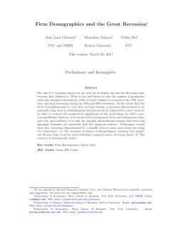 Firm Demographics and the Great Recession - Peifan Wu