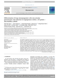 Differentiation of lung stem/progenitor cells into alveolar
