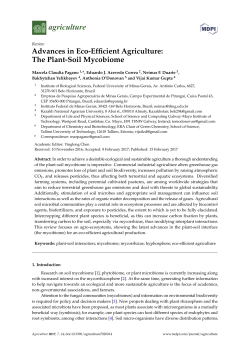 Advances in Eco-Efficient Agriculture: The Plant
