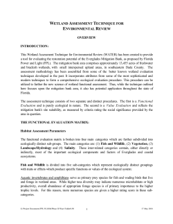 wetland assessment technique for environmental review