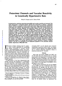 Potassium Channels and Vascular Reactivity in