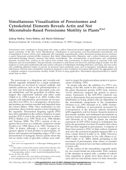 Simultaneous Visualization of Peroxisomes and