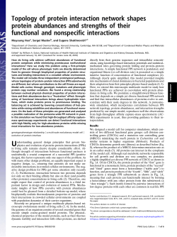 Topology of protein interaction network shapes protein abundances