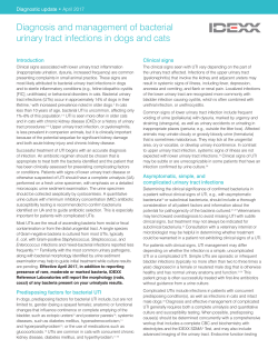 Diagnosis and management of bacterial urinary tract