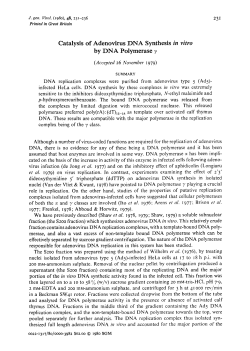 Catalysis of Adenovirus I)NA Synthesis in vitro by DNA Polymerase 7
