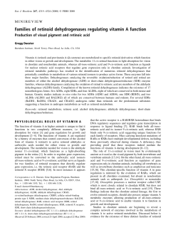 Families of retinoid dehydrogenases regulating vitamin A function