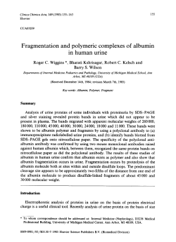 Fragmentation and polymeric complexes of albumin in