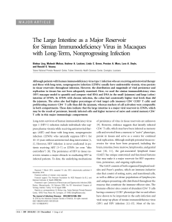 The Large Intestine as a Major Reservoir for Simian