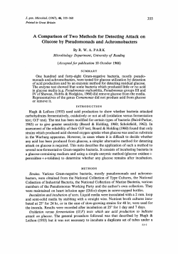A Comparison of Two Methods for Detecting Attack