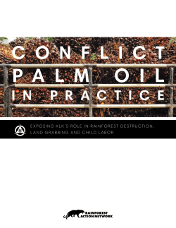 Conflict Palm Oil in Practice