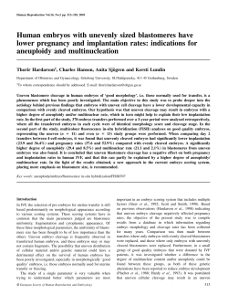 Human embryos with unevenly sized