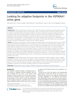 Looking for adaptive footprints in the HSP90AA1 ovine gene