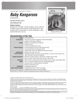 22 Baby Kangaroos - Houghton Mifflin Harcourt
