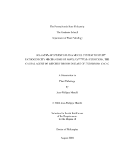 The Pennsylvania State University The Graduate School